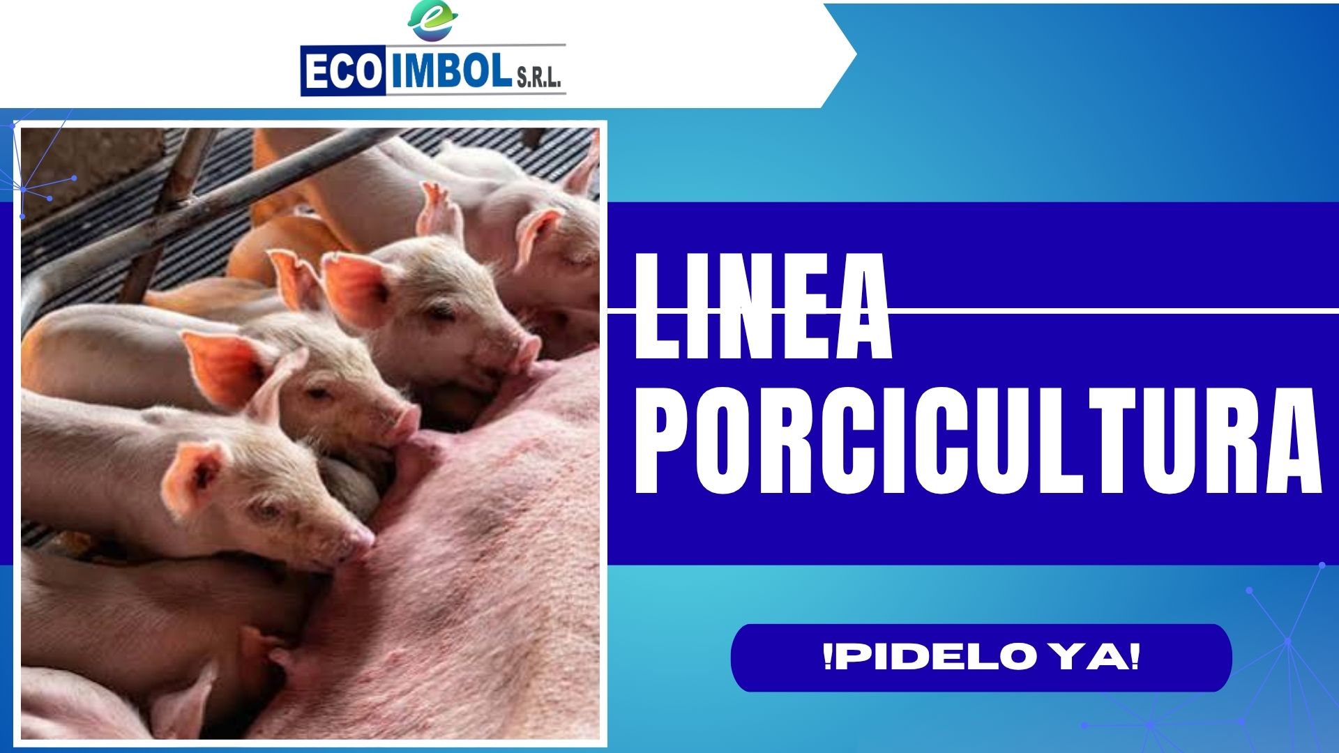 COMEDERO 12 KG